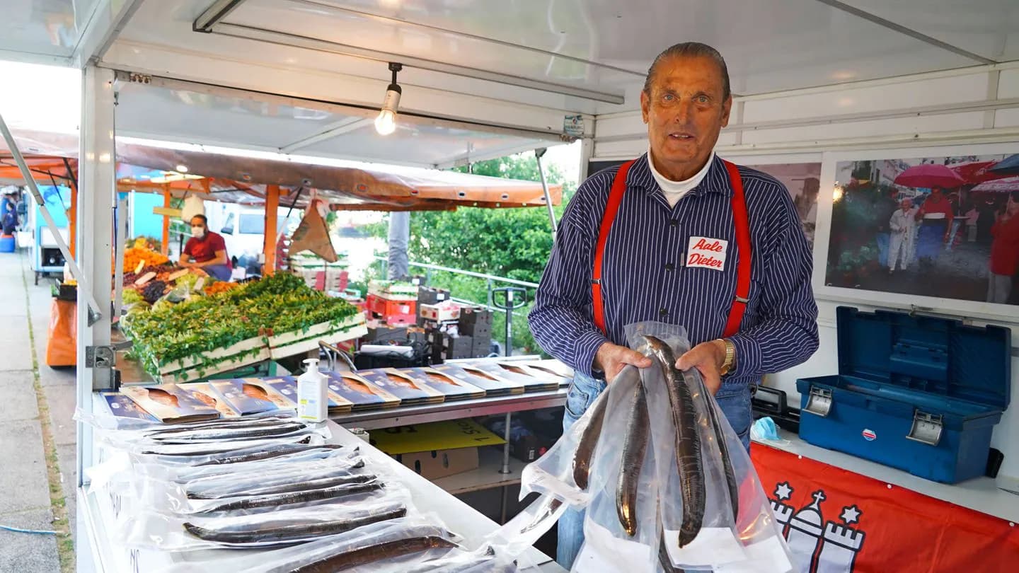 Kaufe tropische Fischvorräte