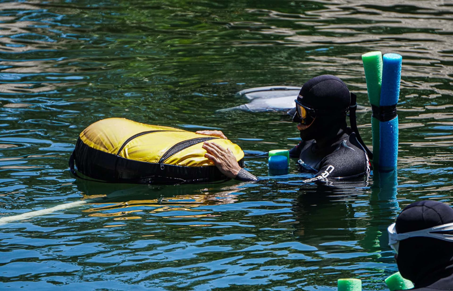 DeepDiveMexico: Tauchen Mexiko für Anfänger und Profis